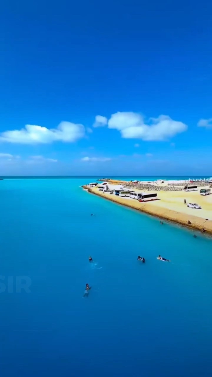 🎬 “Niyə Əl Ələmein?”