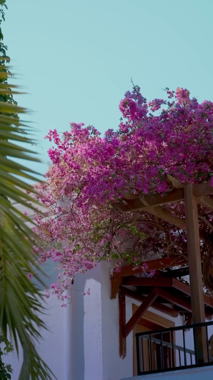 🏖 Türkiyədə İbiza tərzində istirahət — Bodrum yeni tərəfdən açılır!