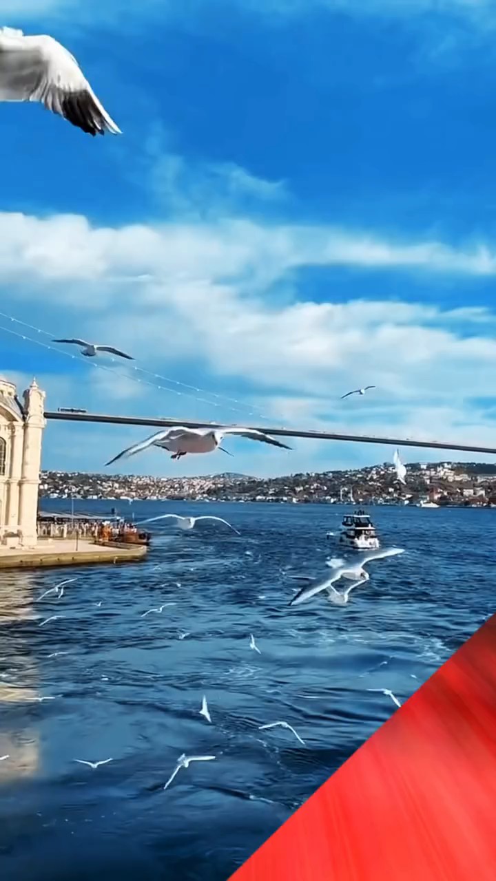 ✈️ İSTANBUL TURU – MART AYINA XÜSUS FÜRSƏT! 🇹🇷