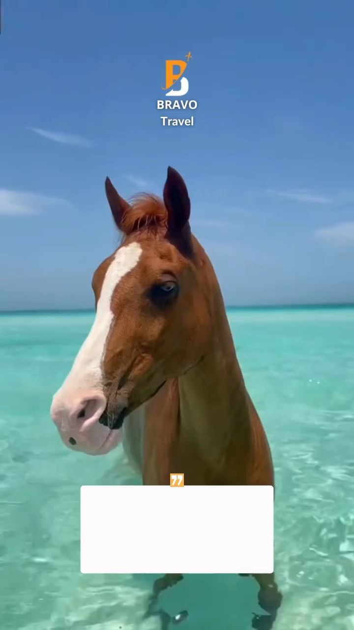 🇦🇪 ABU DHABI | 14–18 Aprel üçün Xüsusi Tur Paketi ✈️🏨