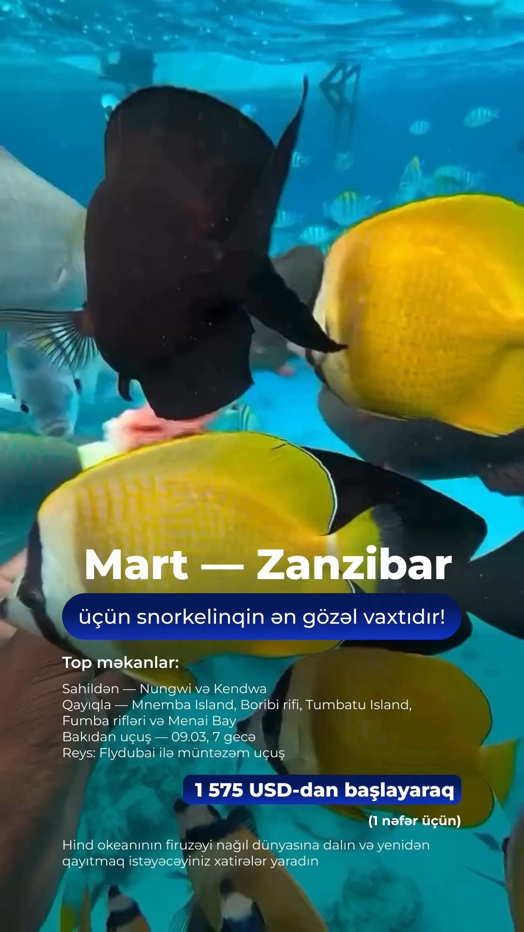 🌊🐠 Mart — Zanzibar üçün snorkelinqin ən gözəl vaxtıdır!