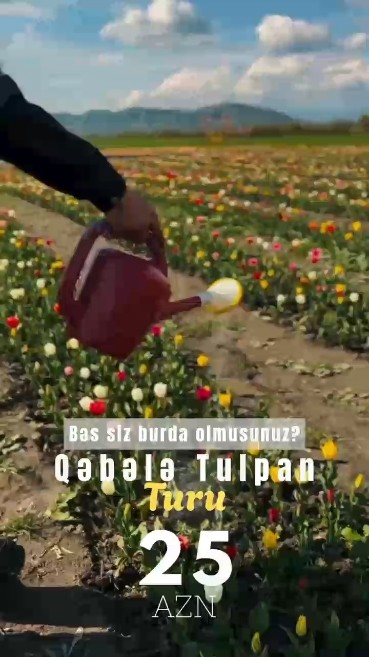 Möhtəşəm İsmayıllı Qəbələ Tülpan Turu – Baharın ən rəngli səyahəti!