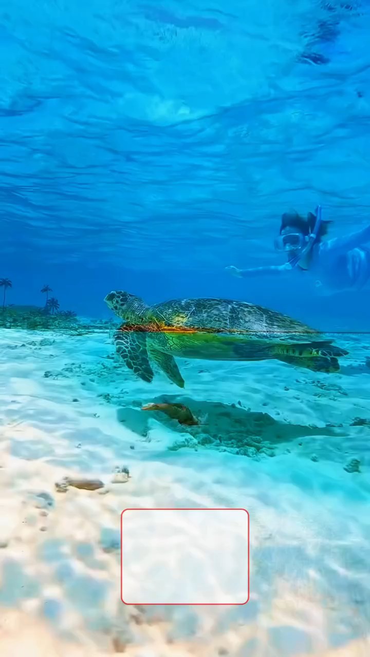 🌴 MALDİVLƏR – XƏYAL KİMİ İSTİRAHƏT! 🇲🇻✨