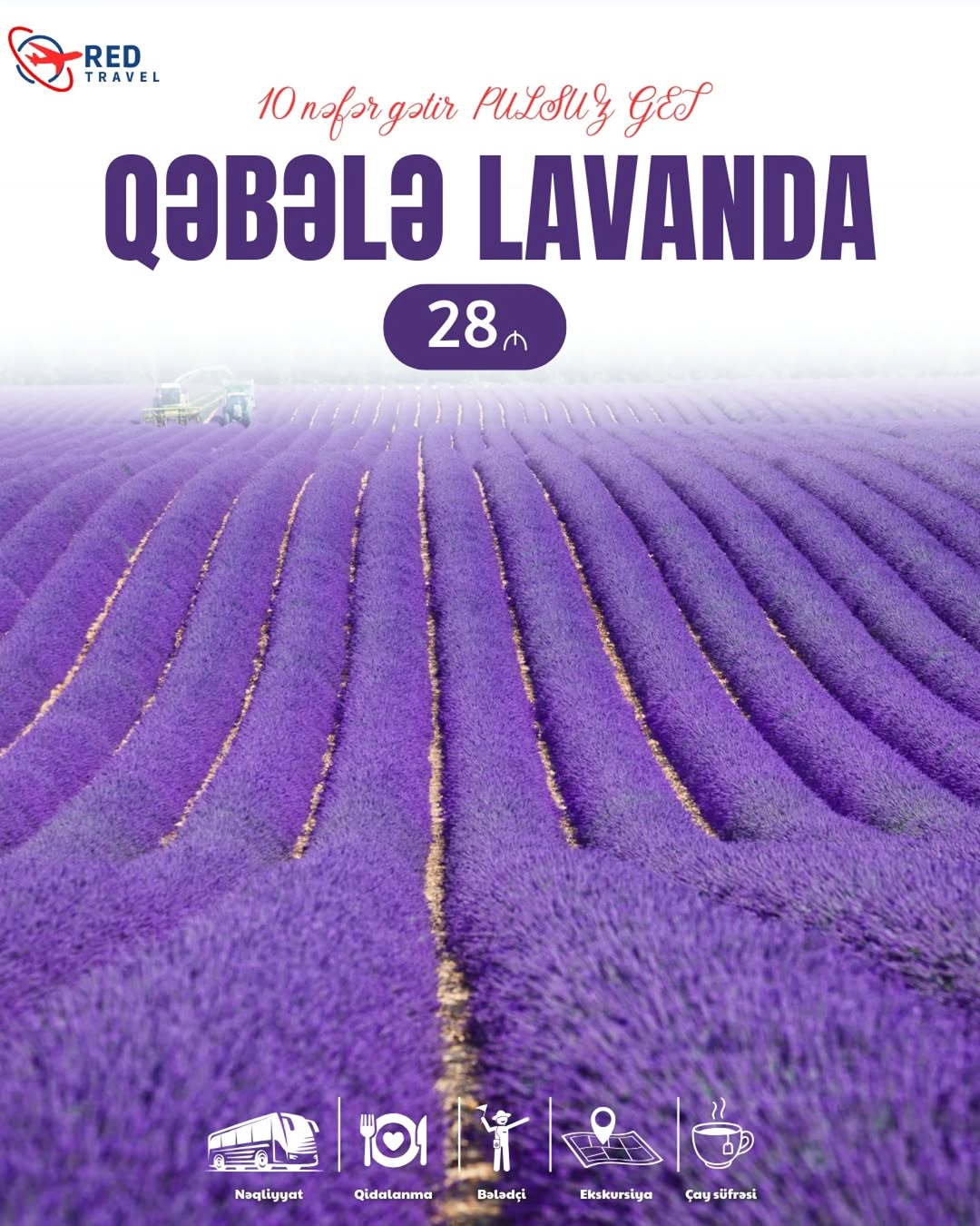 İsmayıllı Qəbələ Lavanda Turu