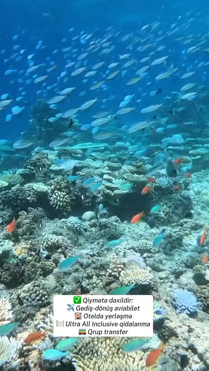 ✨ Misirin ən məşhur kurortu Şarm Əl-Şeyx sizi gözləyir! 🌴☀️