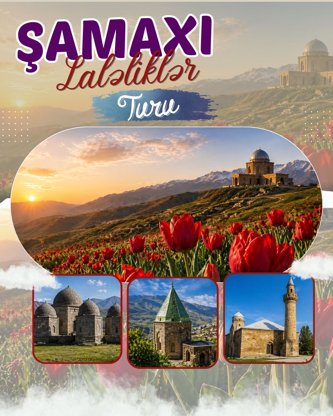🌷 ŞAMAXI LALƏLİKLƏR TURU 🌷
