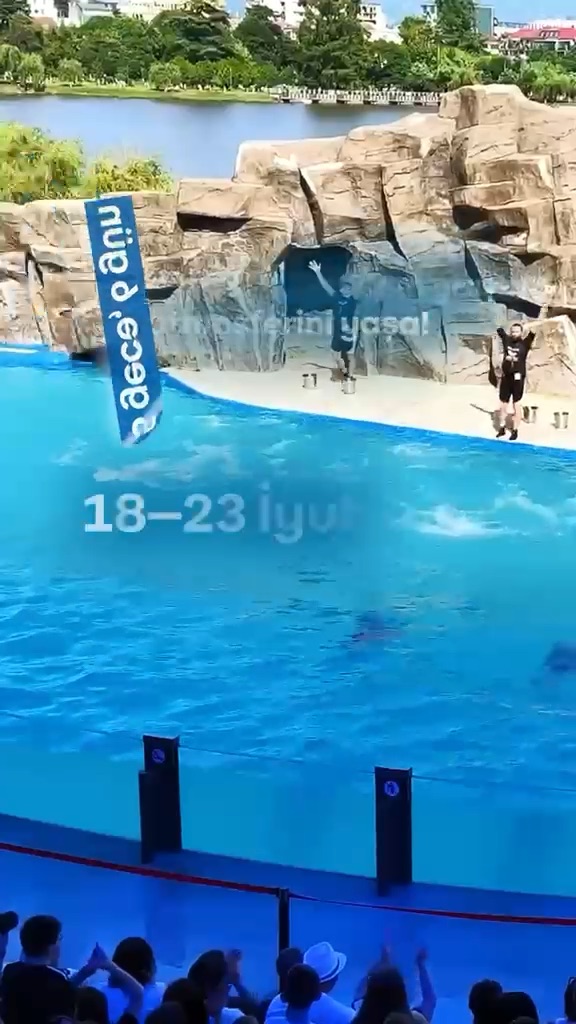 Batumidə Yay Tətili + Delfinariya Şou Hədiyyə!
