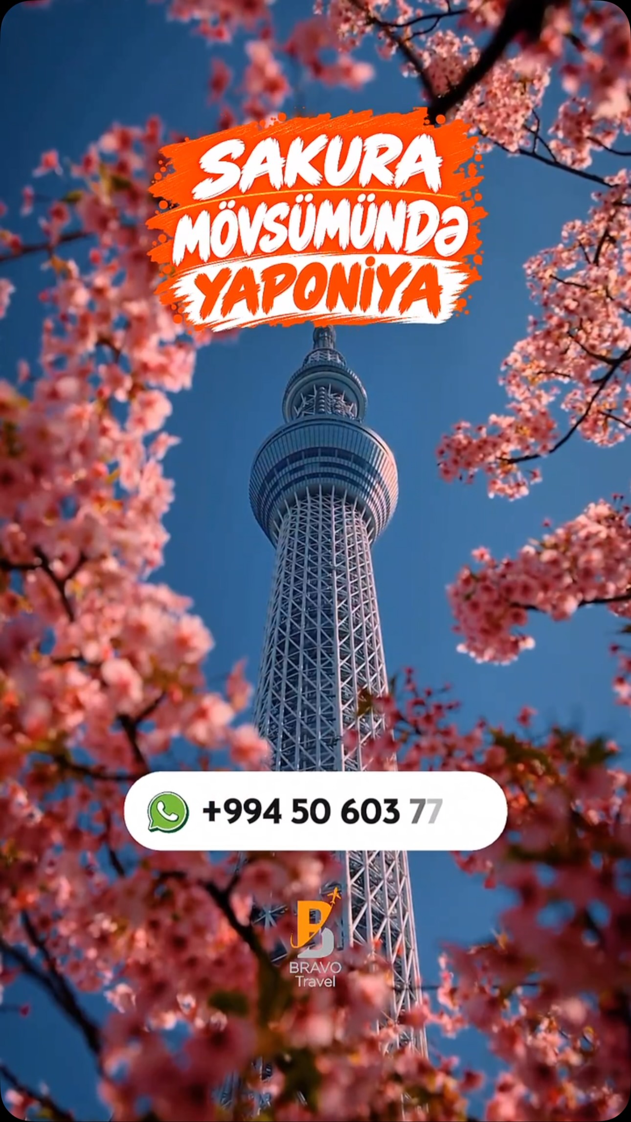 🌸🇯🇵 SAKURA MÖVSÜMÜNDƏ YAPONİYA — TOKYO & OSAKA